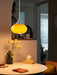 Oval Persimmon Pendant Light - DWHOME