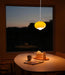Oval Persimmon Pendant Light - DWHOME