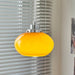 Oval Persimmon Pendant Light - DWHOME