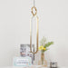 Oval Rings Pendant Light-DWHOME