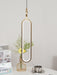 Oval Rings Pendant Light-DWHOME