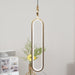 Oval Rings Pendant Light-DWHOME
