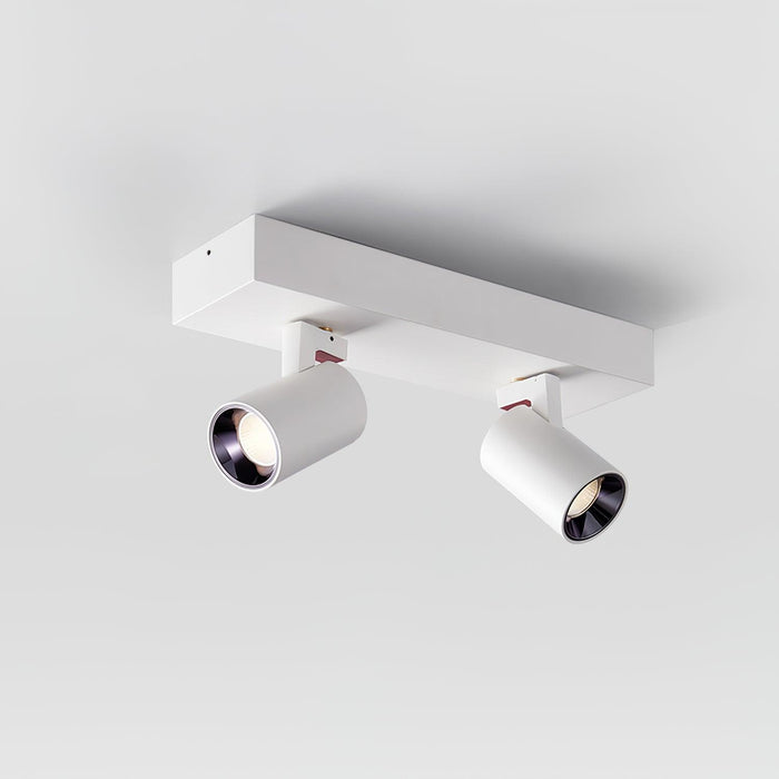 POG Double Linear Spotlight-DWHOME