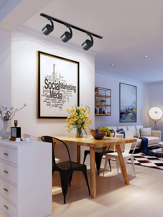 Paloma Ceiling Light-DWHOME