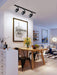 Paloma Ceiling Light-DWHOME