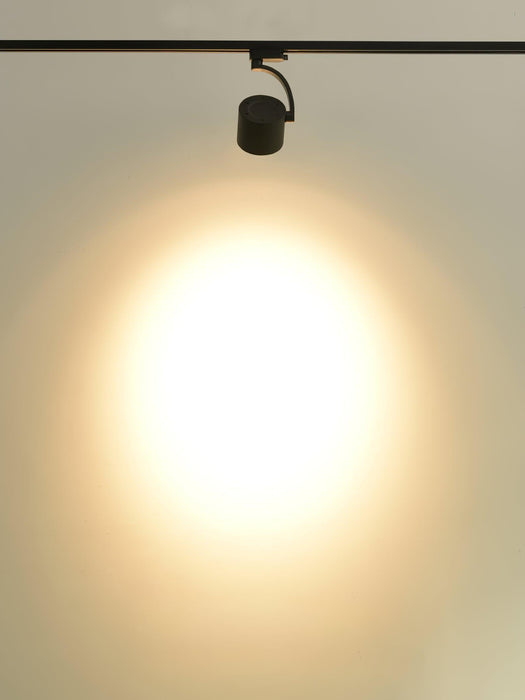 Paloma Ceiling Light-DWHOME
