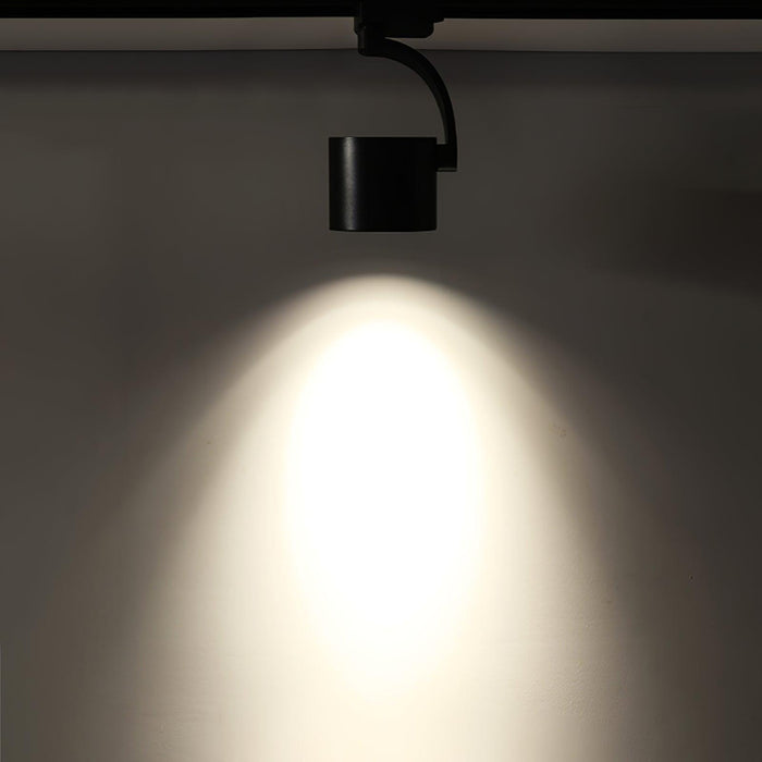 Paloma Ceiling Light-DWHOME
