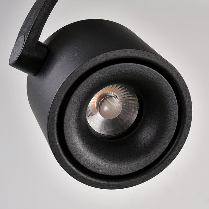 Paloma Ceiling Light-DWHOME