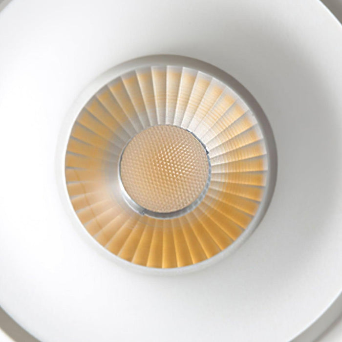 Paloma Ceiling Light-DWHOME