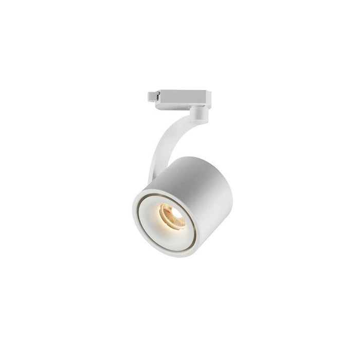 Paloma Ceiling Light-DWHOME