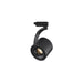 Paloma Ceiling Light-DWHOME