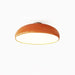 Pangen Ceiling Lamp-DWHOME