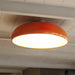Pangen Ceiling Lamp-DWHOME