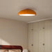 Pangen Ceiling Lamp-DWHOME