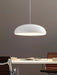 Pangen Pendant Lamp - DWHOME