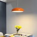 Pangen Pendant Lamp - DWHOME