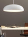 Pangen Pendant Lamp - DWHOME