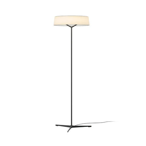 Dama Floor Lamp-DWHOME