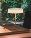 Dama Table Lamp - DWHOME