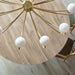 Papillon Chandelier-DWHOME