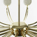 Papillon Chandelier-DWHOME
