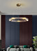 Parallel Ring LED Chandelier-DWHOME