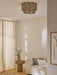 Patrici Ceiling Light-DWHOME