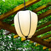 Peaches Outdoor Pendant Light-DWHOME