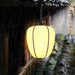 Peaches Outdoor Pendant Light-DWHOME