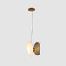 Translucent Frosted Glass Pendant Light-DWHOME
