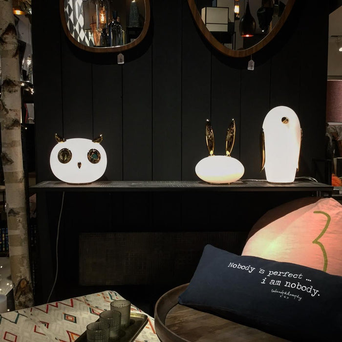 Pet Desk Light-DWHOME