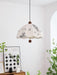 Petal Whisper Pendant Lamp-DWHOME