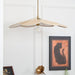 Petals Bloom Rattan Pendant Lamp-DWHOME