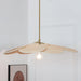 Petals Bloom Rattan Pendant Lamp-DWHOME