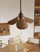 Petal Bloom Pendant Light-DWHOME