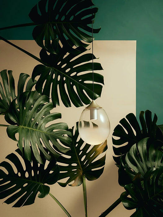 Petra Pendant Light - DWHOME