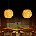 Pinecone Pendant Light-DWHOME