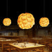 Pinecone Pendant Light-DWHOME