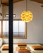 Pinecone Pendant Light-DWHOME