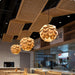 Pinecone Pendant Light-DWHOME