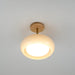Plafonnier Ceiling Lamp-DWHOME