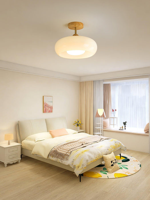 Plafonnier Ceiling Lamp-DWHOME