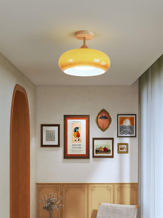 Plafonnier Ceiling Lamp-DWHOME