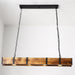 Pleva Chandelier - DWHOME