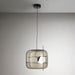 Plot Glass Pendant Light-DWHOME