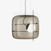 Plot Glass Pendant Light-DWHOME