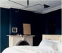 LUKAS Pondskater Ceiling Lamp - DWHOME