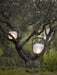 Portable Lantern Outdoor Table Lamp - DWHOME