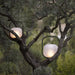 Portable Lantern Outdoor Table Lamp - DWHOME