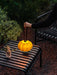Portable Pumpkin Built-in Battery Table Lamp - DWHOME